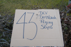 DSC03379