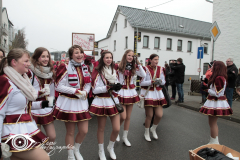 IMG10259 (Large)