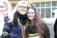 IMG10306 (Large)